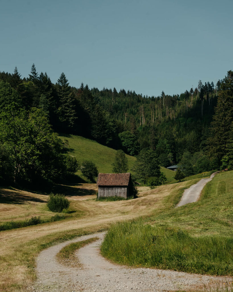 Slow Travel-Auszeit im Schwarzwald
