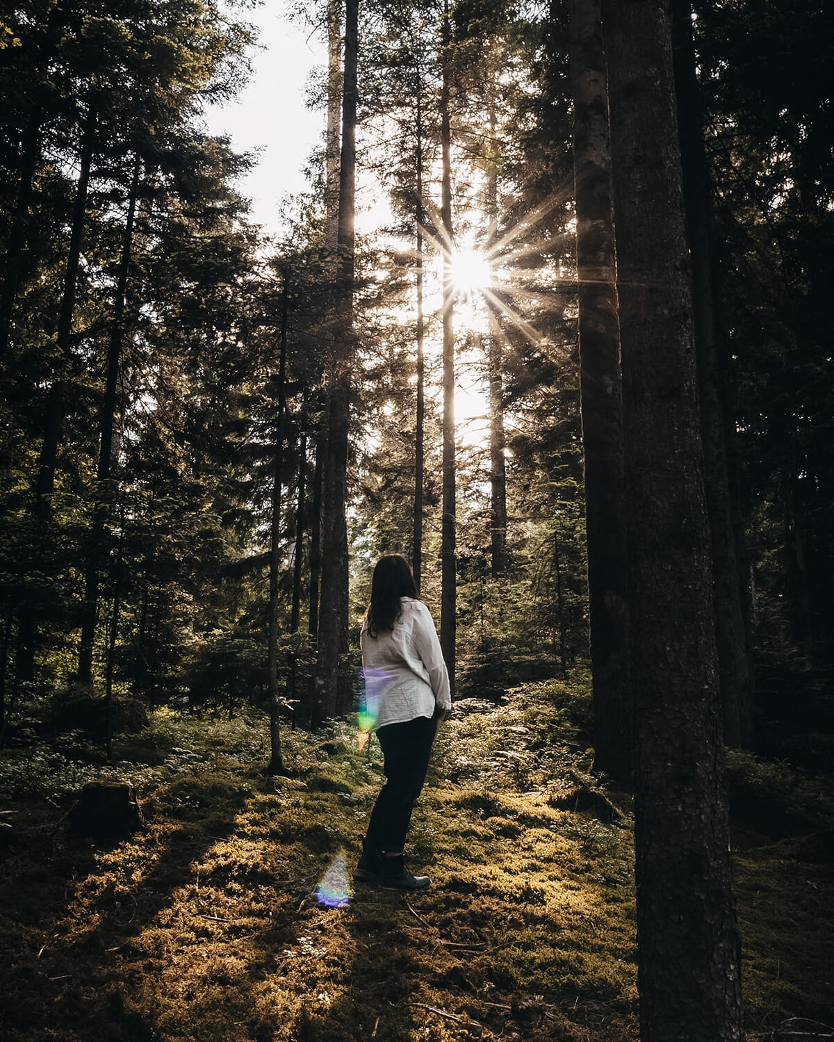 Slow Travel Auszeit im Schwarzwald