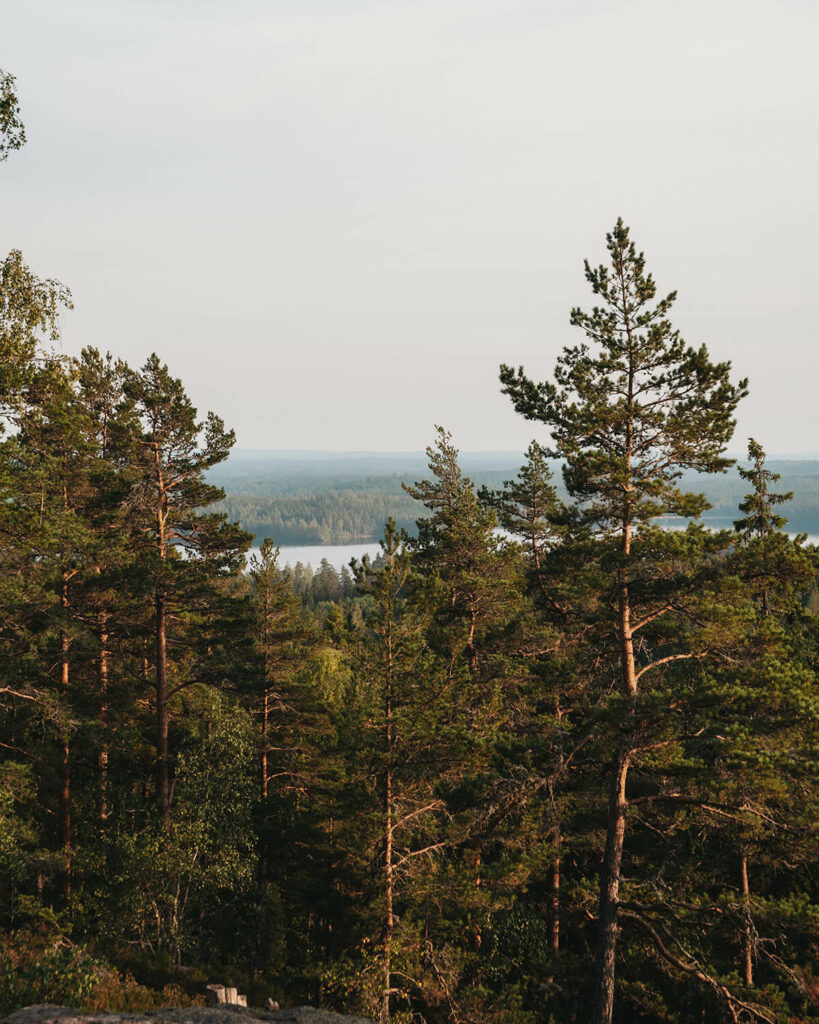Ausblick vom Skuruhatt in Småland